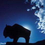 Silhouette of a buffalo sculpture